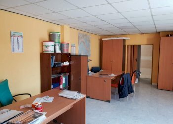 Capannone Falciano del Massico - foto 2