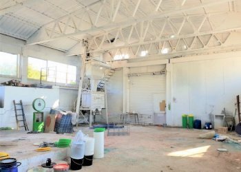 Capannone Falciano del Massico - foto 6