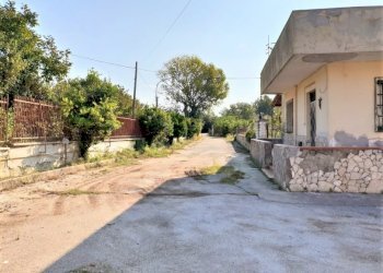 Capannone Falciano del Massico - foto 7