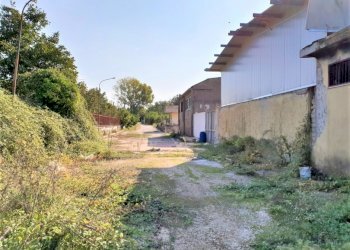 Capannone Falciano del Massico - foto 8