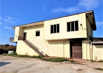 Capannone Falciano del Massico - foto 9