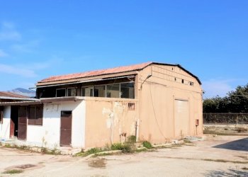 Capannone Falciano del Massico - foto 10