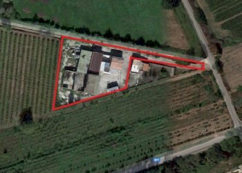 Capannone Falciano del Massico - foto 11