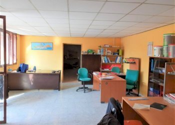 Capannone Falciano del Massico - foto 12