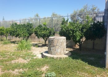 Rustico Capua - foto 9