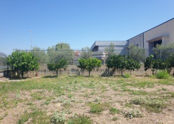 Rustico Capua - foto 11