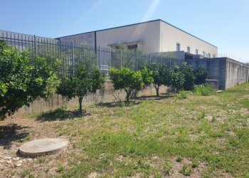 Rustico Capua - foto 12