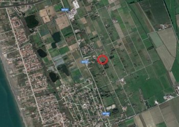 Agricultural land Mondragone - photo 2