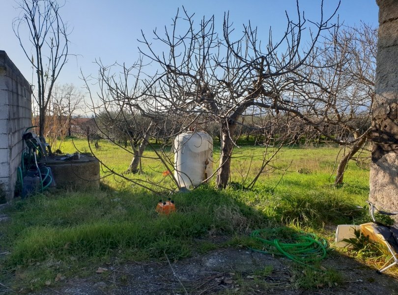 Rustico Sessa Aurunca - foto 3