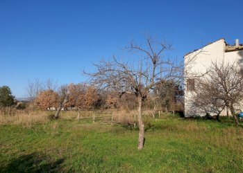 Rustico Sessa Aurunca - foto 7