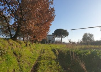 Rustico Sessa Aurunca - foto 8