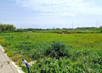 Terreno edificabile Mondragone - foto 2