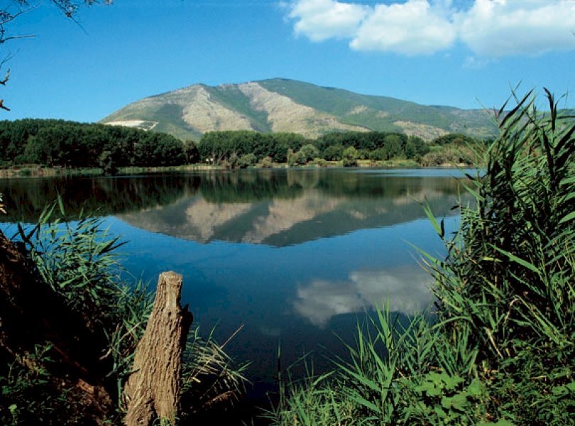 Terreno edificabile Falciano del Massico - foto 3