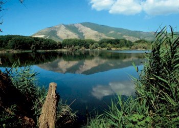 Terreno edificabile Falciano del Massico - foto 3