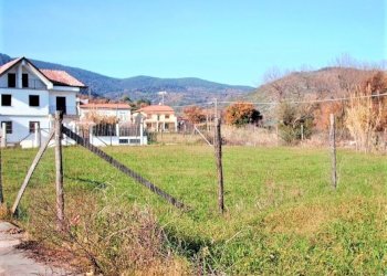 Terreno edificabile Falciano del Massico - foto 6