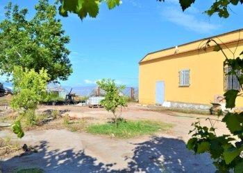 Rustico Falciano del Massico - foto 5