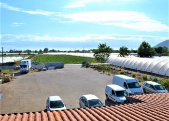 Rustico Falciano del Massico - foto 6