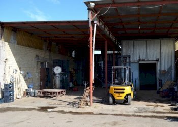 Rustico Falciano del Massico - foto 9