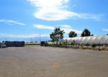 Rustico Falciano del Massico - foto 10