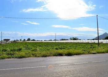 Rustico Falciano del Massico - foto 11