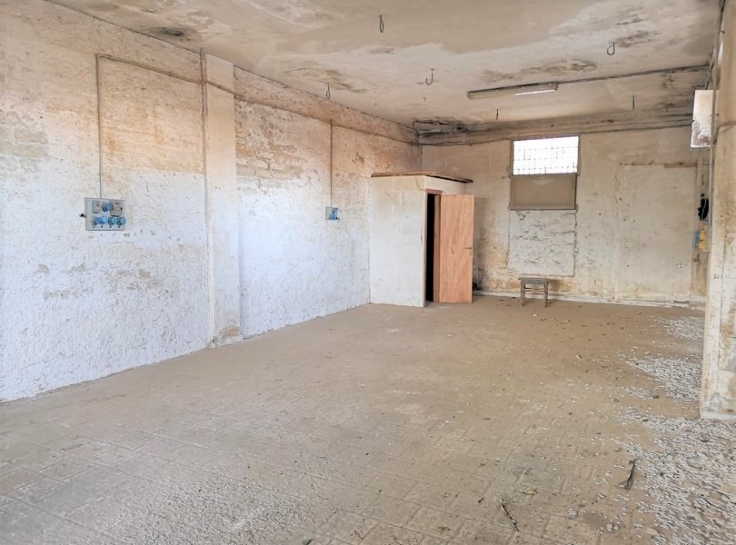 Laboratory Falciano del Massico - photo 2