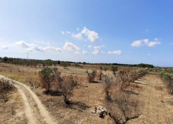 vista - Villa SP54, Alezio - photo 5