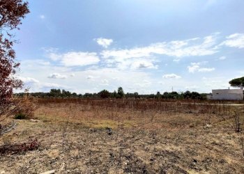terreno - Villa SP54, Alezio - photo 10