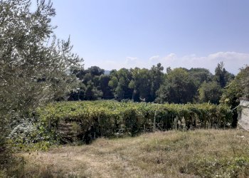 20200908_120049.jpg - Villa Francavilla al Mare - foto 7