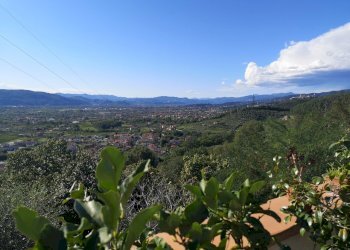 5.jpg - Semi-detached house Via per Nicola 24, Luni - photo 7