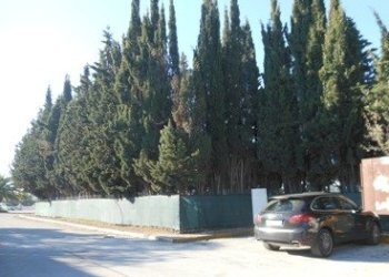 Attività Commerciale Martinsicuro - foto 10