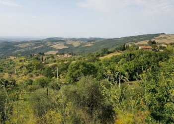 05.jpg - Porzione di casa Località Poggio Rosa 15, Castiglione d'Orcia - foto 5