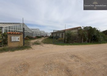 Terreno agricolo loc. sa nuxedda, Assemini - foto 1