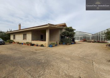 Terreno agricolo loc. sa nuxedda, Assemini - foto 2