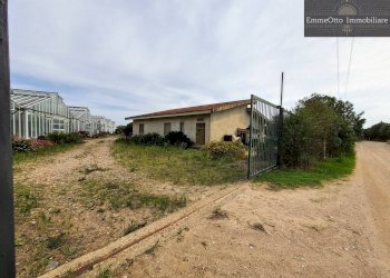 Terreno agricolo loc. sa nuxedda, Assemini - foto 5