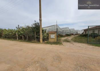 Terreno agricolo loc. sa nuxedda, Assemini - foto 6