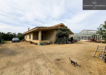 Terreno agricolo loc. sa nuxedda, Assemini - foto 7
