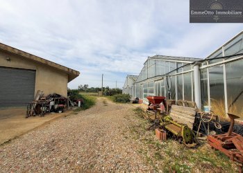 Terreno agricolo loc. sa nuxedda, Assemini - foto 8