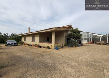 Terreno agricolo loc. sa nuxedda, Assemini - foto 10