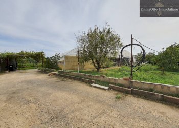 Terreno agricolo loc. sa nuxedda, Assemini - foto 11