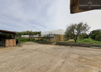 Terreno agricolo loc. sa nuxedda, Assemini - foto 12