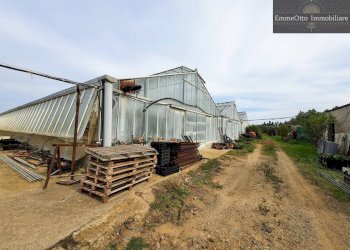 Terreno agricolo loc. sa nuxedda, Assemini - foto 13