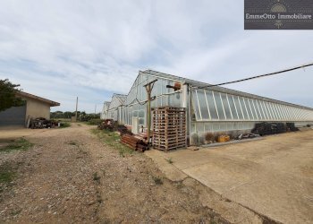 Terreno agricolo loc. sa nuxedda, Assemini - foto 14
