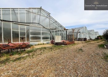 Terreno agricolo loc. sa nuxedda, Assemini - foto 15