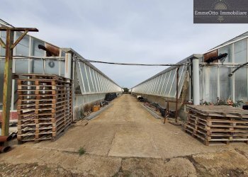 Terreno agricolo loc. sa nuxedda, Assemini - foto 16