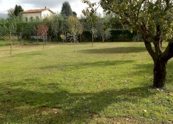 20191010_102324.jpg - Villa Via dei Dorini, Lucca - foto 19
