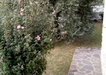 20191010_103240.jpg - Villa Via dei Dorini, Lucca - foto 20