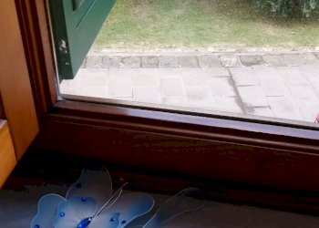 20191010_103320.jpg - Villa Via dei Dorini, Lucca - foto 16