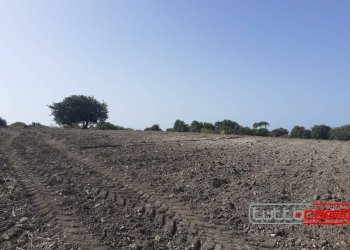 Agricultural land C.DA  CUDIANO, Scicli - photo 4
