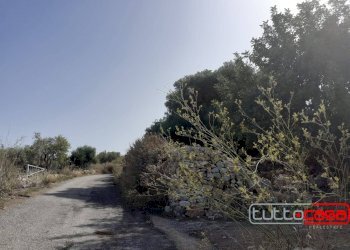 Agricultural land C.DA  CUDIANO, Scicli - photo 6