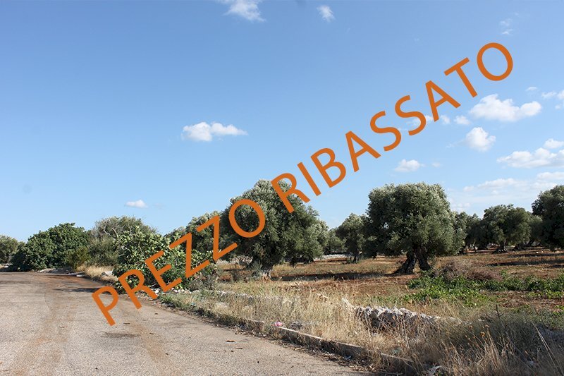 Terreno grande estensione prezz ribassato.jpg - Terreno edificabile Strada Statale 16 Uscita Zona Industriale, Monopoli - foto 1